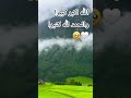 صدق وعده ونصر عبده