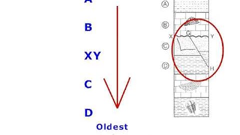 law of Superposition