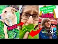 EXPOSED! The Crazy TikTok Vegan Karen (That Vegan Teacher)