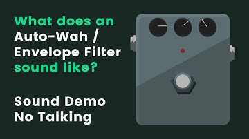 What does an Auto-Wah / Envelope Filter Pedal sound like? | Sound Demo (No Talking)