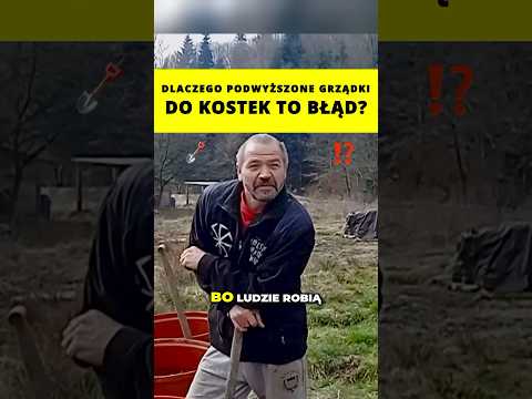 Dlaczego podwyższone grządki