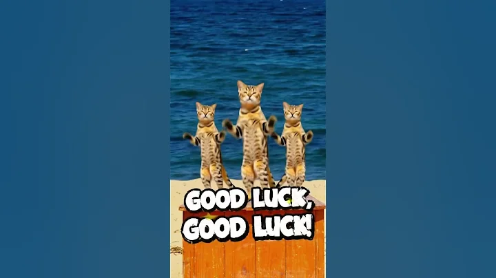 Video 10958351: savannah cats love, cute savannah cat, funny savannah cat, cat cute love dance