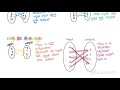Understanding Functions: Examples and Non-Examples