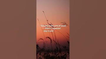 Success is the sum of small efforts, repeated day in and day out - Robert Collier