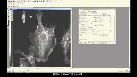 Using a QImaging Rolera EM-C2 EMCCD Camara in MetaMorph Software