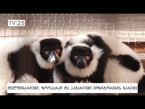 დელფინარიუმი, ზოოპარკი და აკვარიუმი ვიზიტორების გარეშე