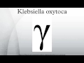 Klebsiella oxytoca