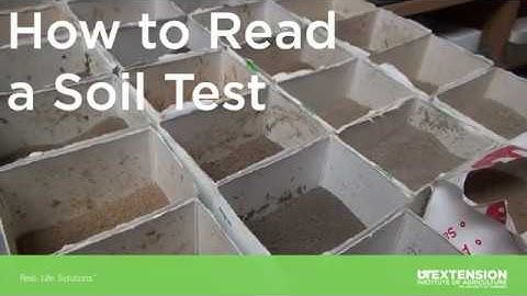How to Read a Soil Test