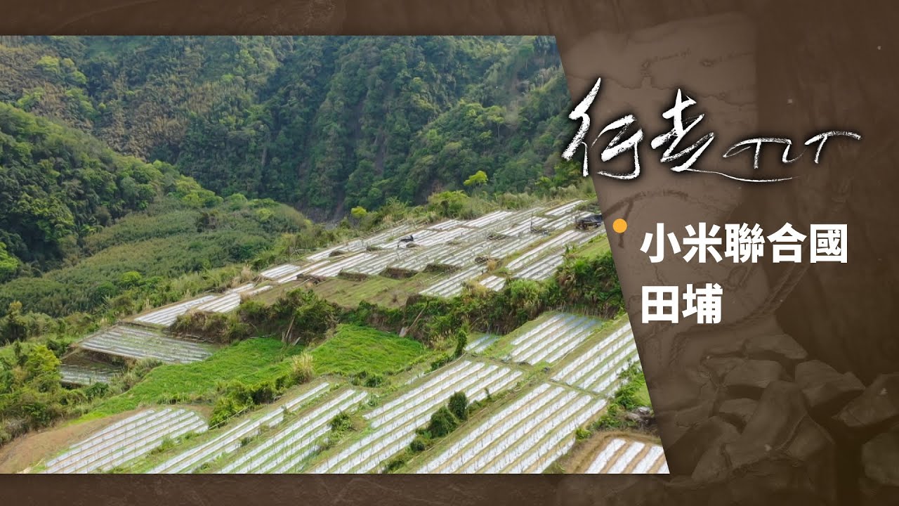 小米聯合國 田埔 | 行走TIT 第142集