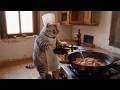 Cat Chef makes Lu Rou Fan. #Cute #Cat #Taiwan