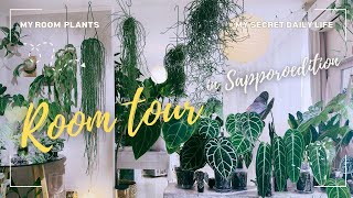 ★初公開★オシャレすぎるお宅探訪【北海道編】グリーンと暮らす憧れの空間　＃モンステラ＃インテリアグリーン＃観葉植物