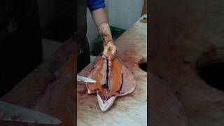 How to Butterfly a Salmon Fillet | Boneless Cutting Technique You Need to See