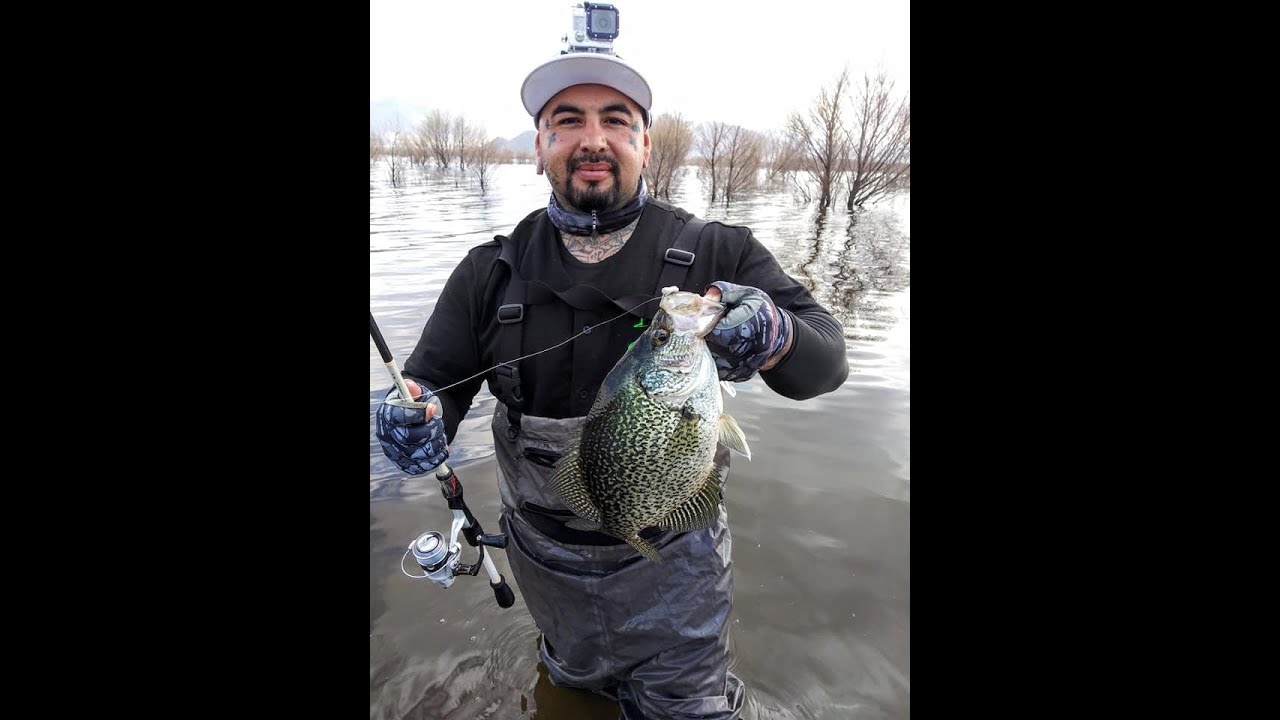 Lake Isabella 2lb. Crappie POOR MAN BAITS YouTube