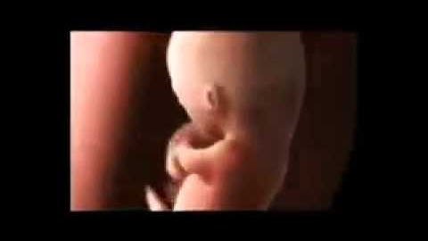 مراحل تكوين الجنين مع القران الكريم