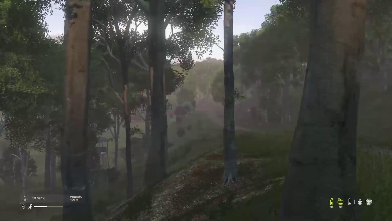 DAYZ LIVE PL/ENG LIVONIA