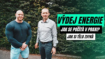 Kdo je největším rybníkem České republiky?