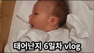 (국제커플) 산후조리원 Vlog - Joi 출산 6일차