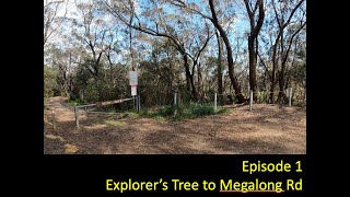 Six Foot Track Marathon Sections Part 14 - Explorers Tree To Megalong Rd