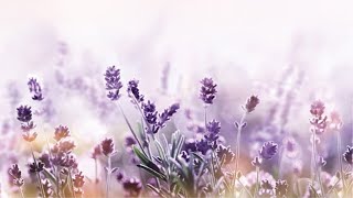 사명자3 20 EBS기초훈련11_예수의 비젼