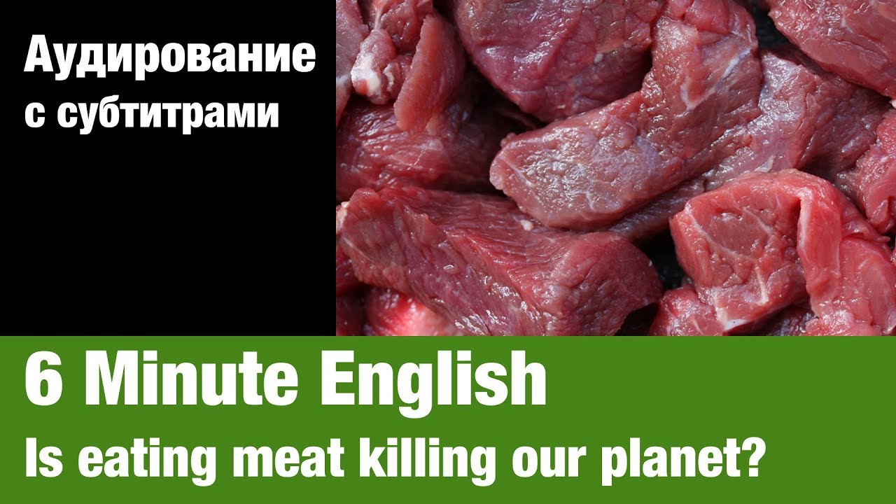 6 Minute English — Is eating meat killing our Суфлёр