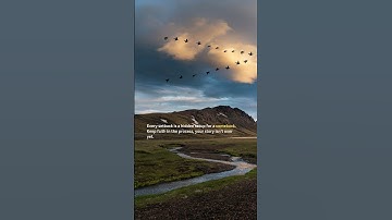 Turning Setbacks into Comebacks: Your Journey Isn