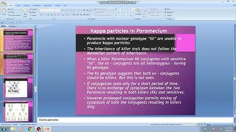 TN SAMACHEER CLASS-12 ZOOLOGY SEX LINKED INHERITANCE PART 8 KAPPA PARTICLES OF PARAMECIUM 1