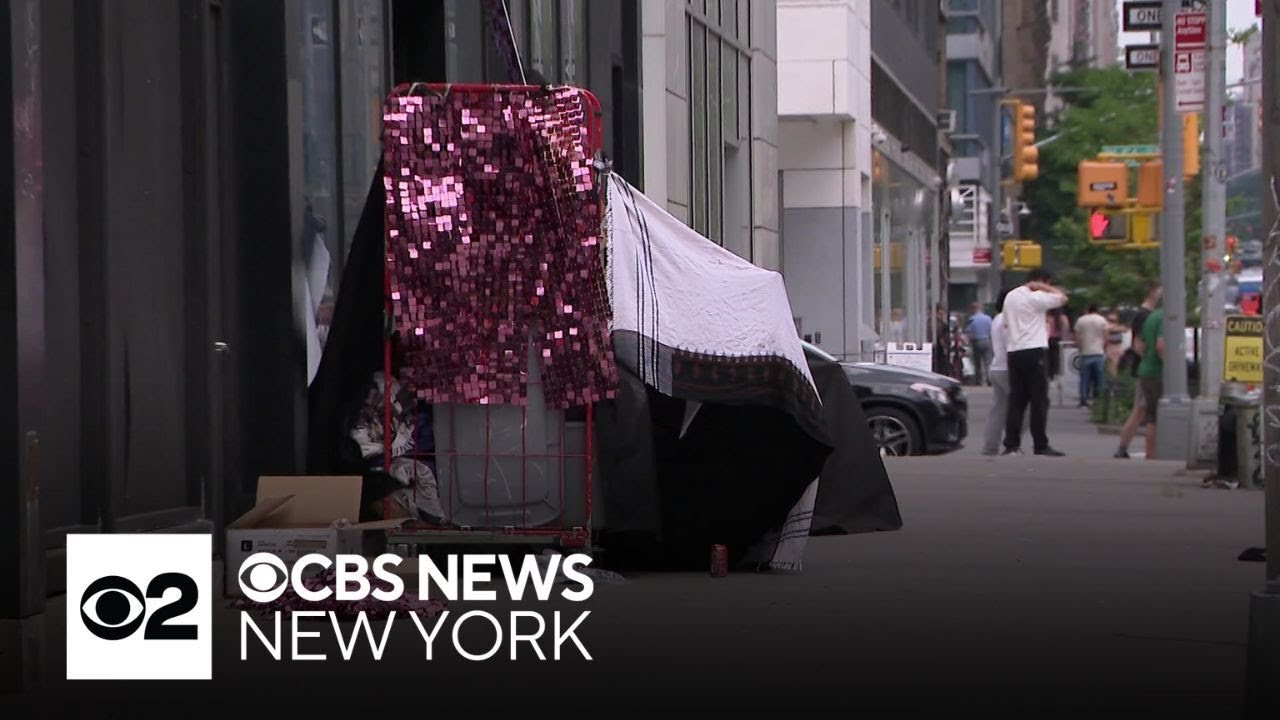 Survey shows rise in number of people living on New York City streets ...