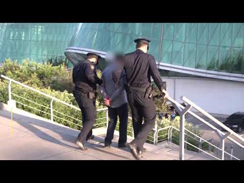 საპატრულო პოლიციამ უკანონო ცეცხლსასროლი იარაღი და საბრძოლო მასალა ამოიღო