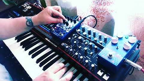 droning with the JX3P and the Radical Delay / Avalanche Run part two