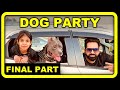 Dogs Party Final Part Brody got second price 😁 | Family Vlogs  | Harpreet SDC