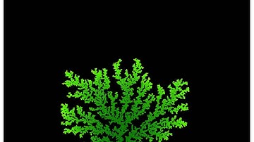 Brownian tree growth