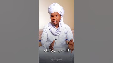 الغلط في سجود التلاوة . _______________ #مذكرة_مالكية#فقهيات_مالكية 41#MedBnBr