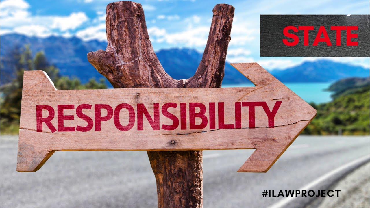 State responsibility. The south will rise again. State responsibility in international law. State responsibility. State responsibility.