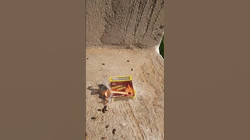 machic bomb experiment #shorts #viral #trending #m4tech #e_bull_jet