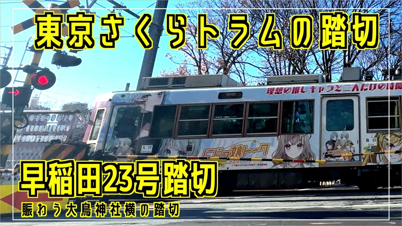 早稲田23号踏切　賑わう大鳥神社横の踏切　東京さくらトラムの踏切シリーズ #踏切 #カンカン #Japaneserailroadcrossing