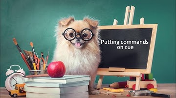 Dog Training: Putting Behaviors on Verbal Cue Made Simple