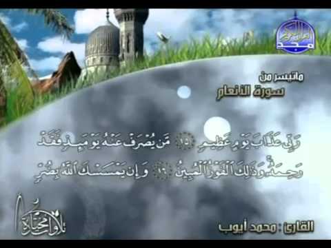 القارى محمد أيوب ما تيسر من سورة الأنعام