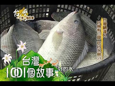 台灣鯛達人創造價值讓吳郭魚變上流美第022集part1 台灣1001個故事 10年 Youtube