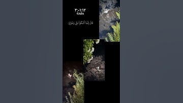 قَالَ إِنَّمآ أَشۡكُواْ بَثِّي وَحزۡنِيٓ إِلَى ٱللَّه♥سورة يوسف#تلاوة #اسلام_صبحي