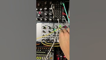 Subharmonicon Eurorack Techno with Mutable Instruments Plaits,Beads,Grids & Pico Drums #modularsynth