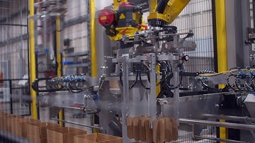 Robotic Partition Inserting - RPI38 by Pearson Packaging Systems