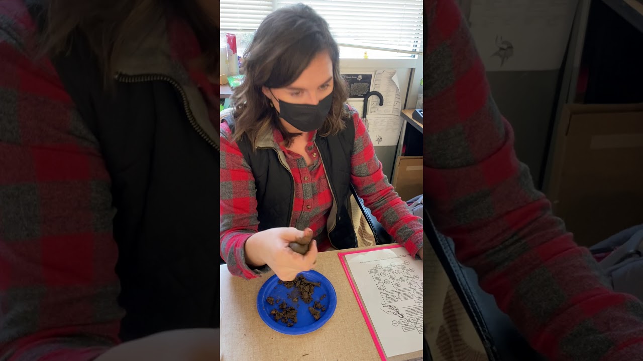 Soil Ribbon Test YouTube