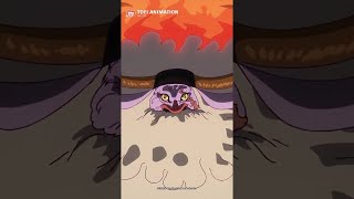 The Five Elders Arrive At Egghead Island...