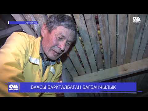 Video: Багбанчылык боюнча мастер программалар - Кантип мастер багбан болуу керек