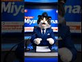 ⚡ LAST MİNUTE : GİANT MEOW STONE! 😱