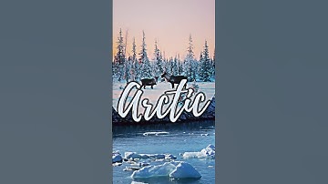 Canva animation tutorial  #canvatutorial #canvaanimation