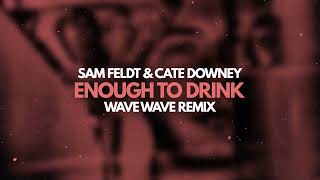 Download Lagu Sam Feldt \u0026 Cate Downey - Enough To Drink (Wave Wave Remix) MP3