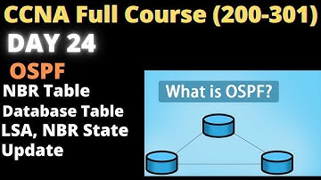 CCNA DAY 24 | OSPF | NBR Table , Database ,Link state Update | Intra-Area, Inter Area |LSA
