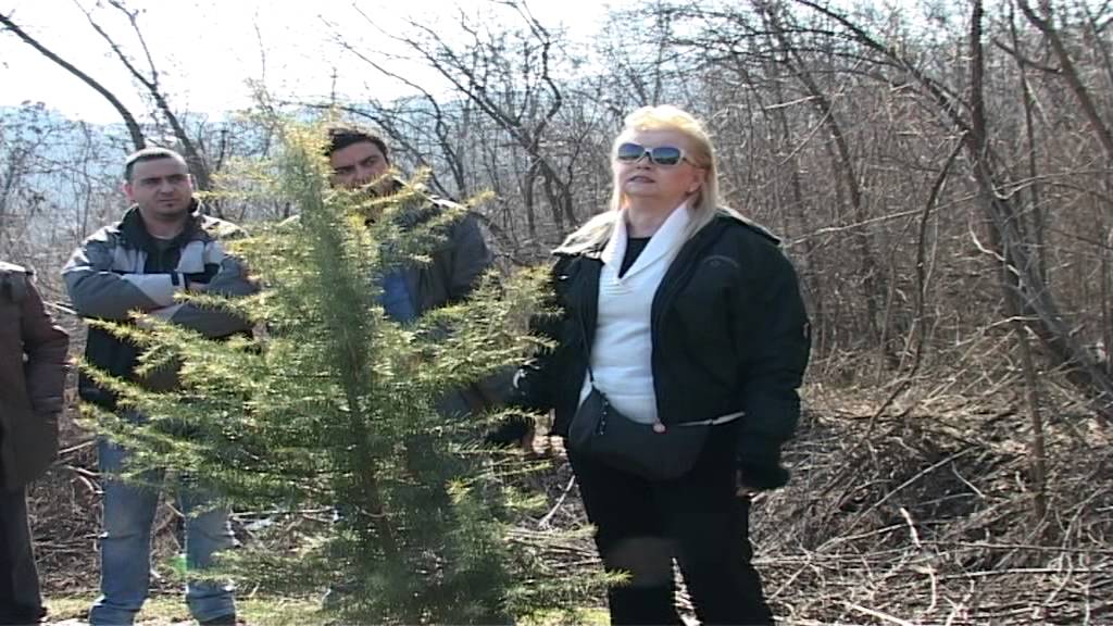 ЗУБОВЦЕ ПРВ ДЕЛ