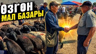 КОЙ БАЗАР КЫМБАТБЫ? ЖЕ СОМ САМАН БОЛО БАШТАДЫБЫ? 🤯 #байтв 